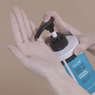 Purifying Charcoal & Tea Tree Cooling Shampoo - [seoulfulcanada]